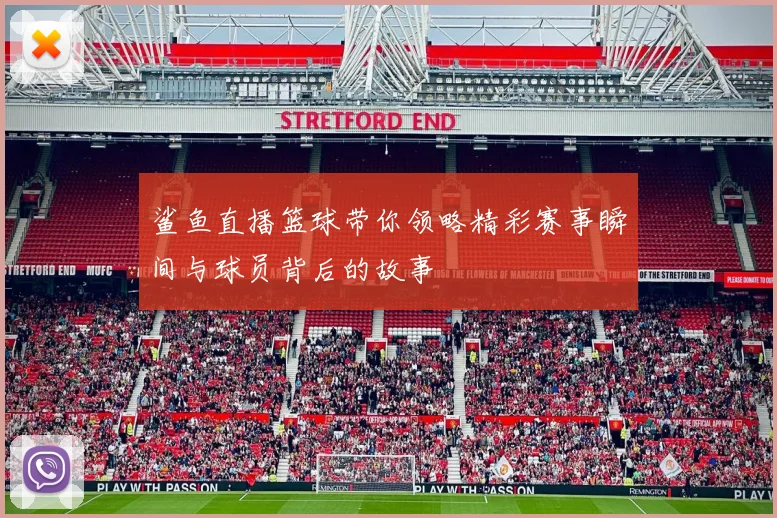 鲨鱼直播篮球带你领略精彩赛事瞬间与球员背后的故事