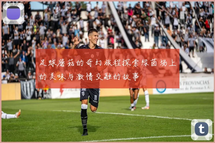 足球蘑菇的奇幻旅程探索绿茵场上的美味与激情交融的故事