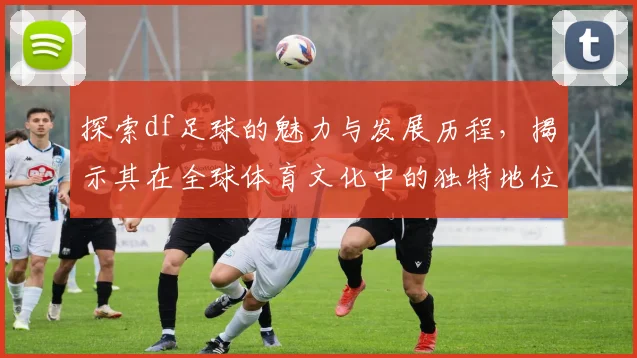 探索df足球的魅力与发展历程，揭示其在全球体育文化中的独特地位与影响力