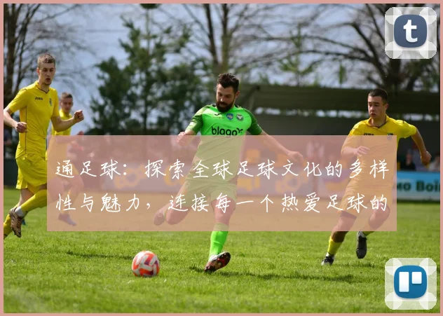 通足球：探索全球足球文化的多样性与魅力，连接每一个热爱足球的心灵